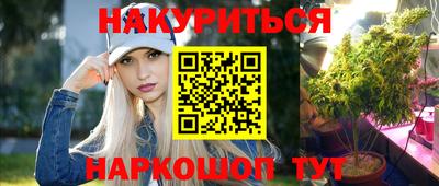 a pvp Гатчина
