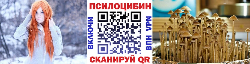 как найти закладки  Кизляр  Галлюциногенные грибы мухоморы 