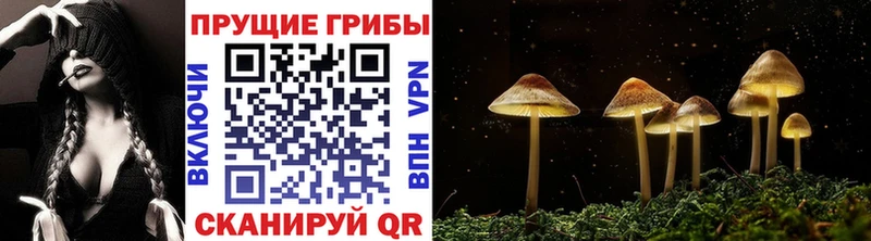 Псилоцибиновые грибы ЛСД Кизляр